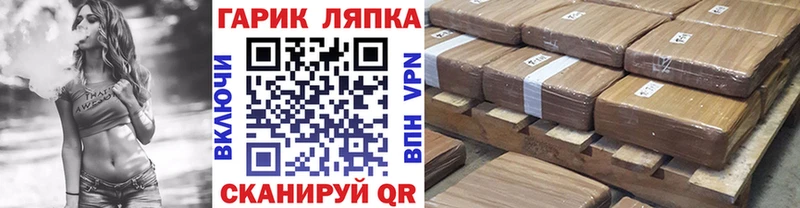 hydra ссылки  дарнет шоп  Гороховец  Гашиш Cannabis 